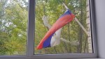Гайчанку возмутил полиэтилен возле флага