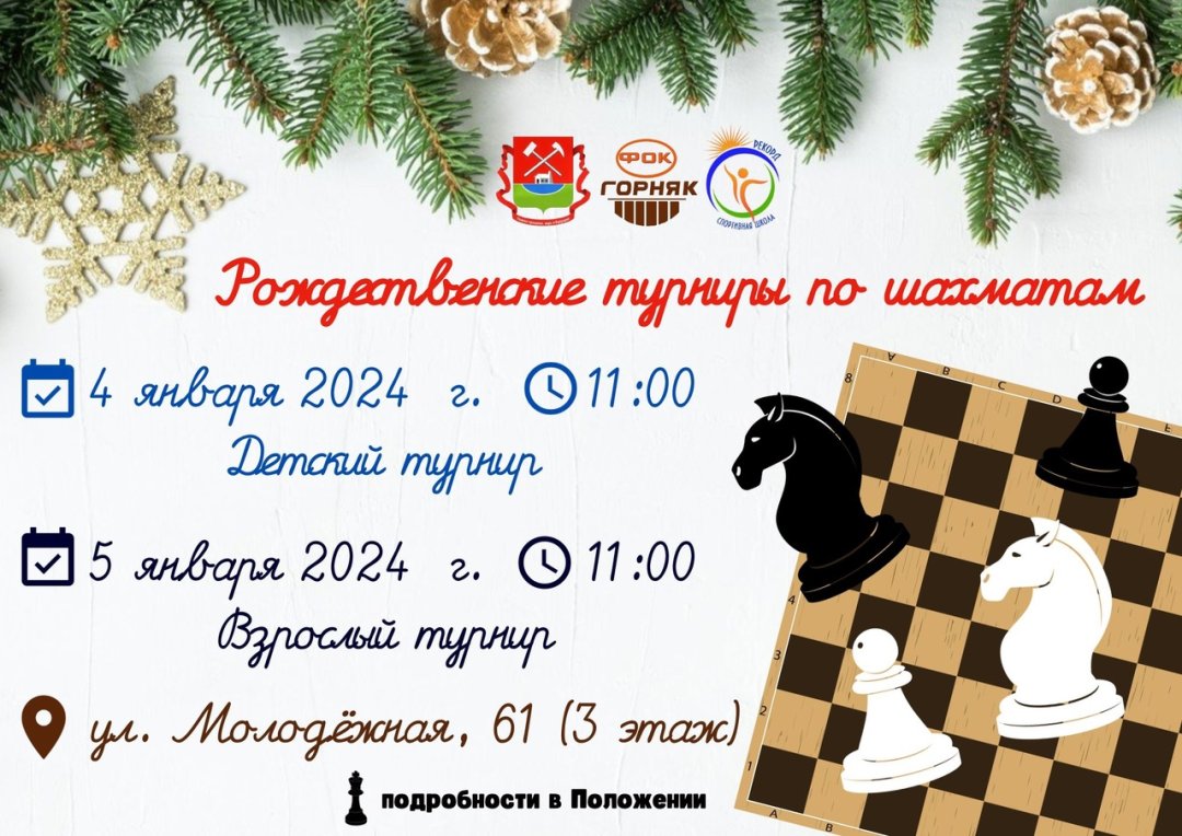4 и 5 января в Гае пройдут Рождественские турниры по шахматам