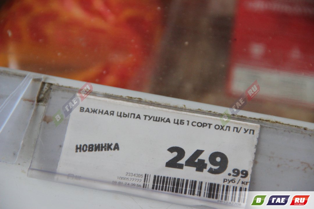 В магазинах появились куры по 249,99 руб за килограмм