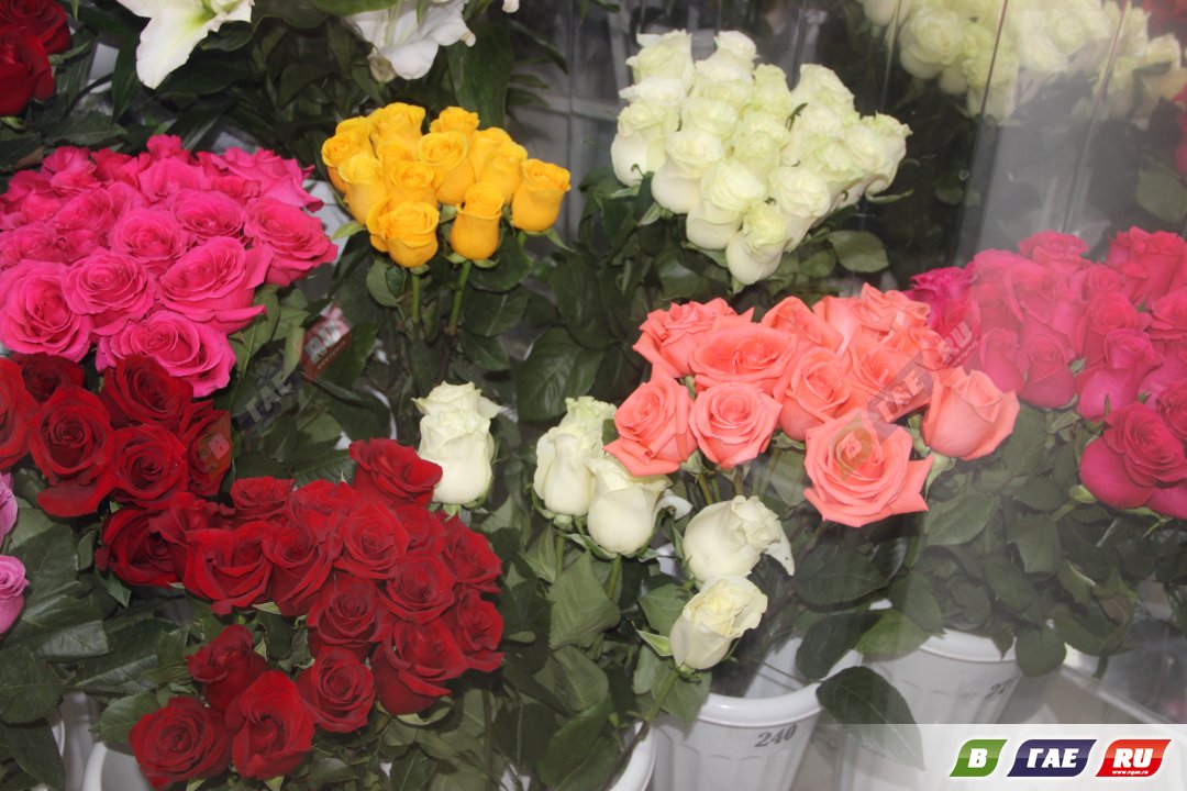 Почем цветы в канун 8 Марта? Розы из Эквадора