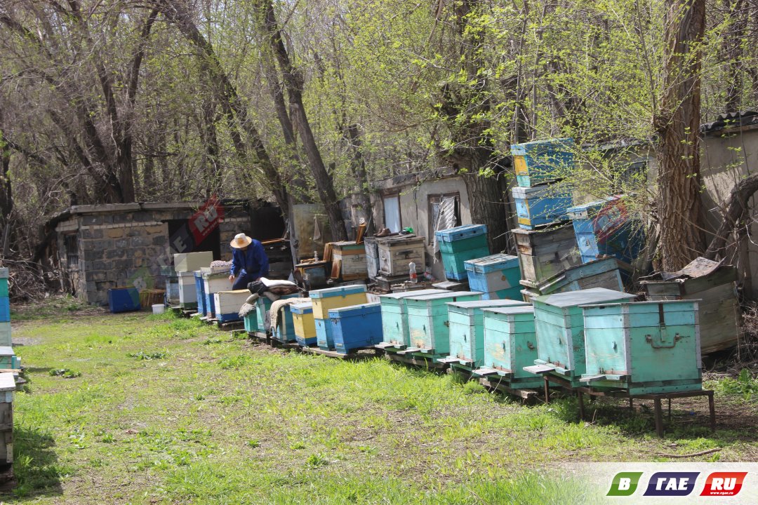 Пчеловоды готовятся к разведке