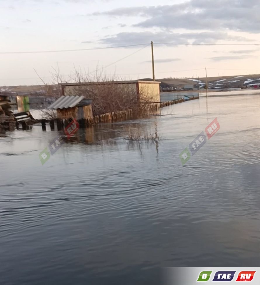 Владельцы садов-огородов в СНТ «Урал-1» просят о помощи | 09.04.2024 |  Новости Гая - БезФормата