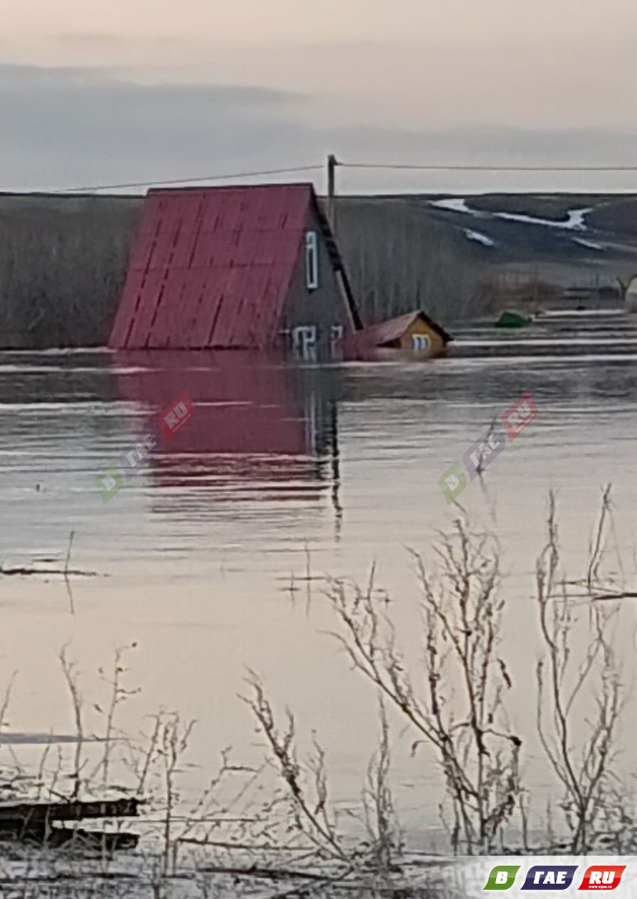 Владельцы садов-огородов в СНТ «Урал-1» просят о помощи | 09.04.2024 |  Новости Гая - БезФормата