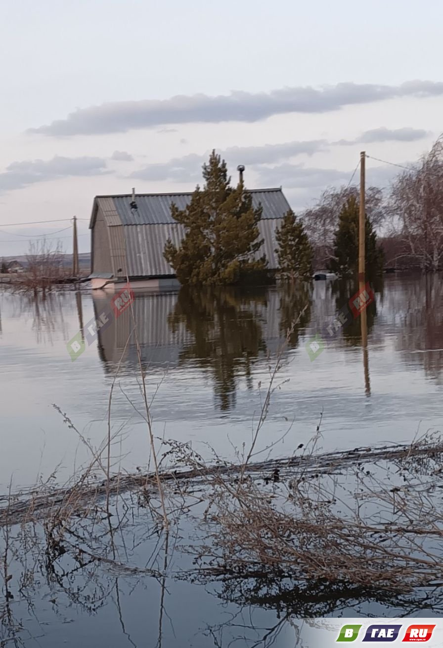 Владельцы садов-огородов в СНТ «Урал-1» просят о помощи | 09.04.2024 |  Новости Гая - БезФормата