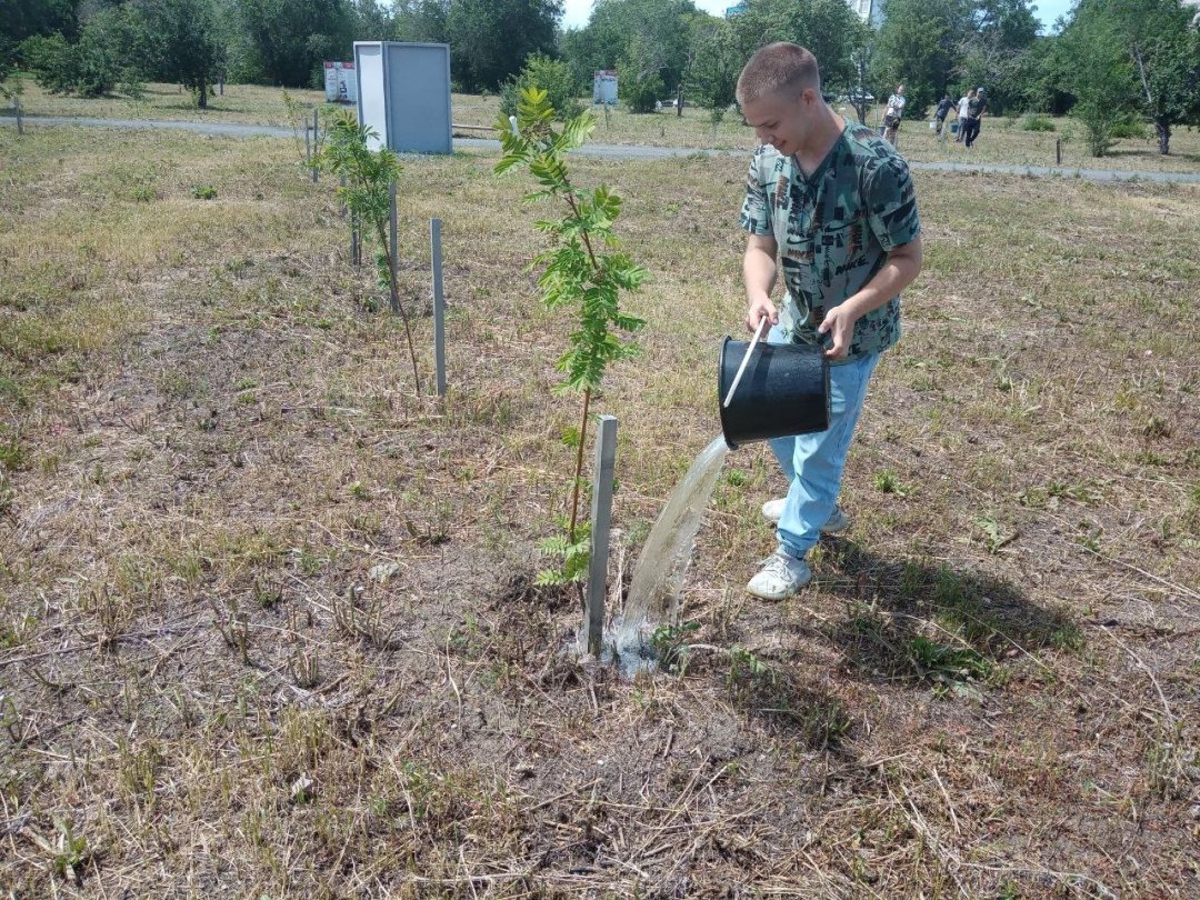 Волонтеры полили деревья в Саду памяти