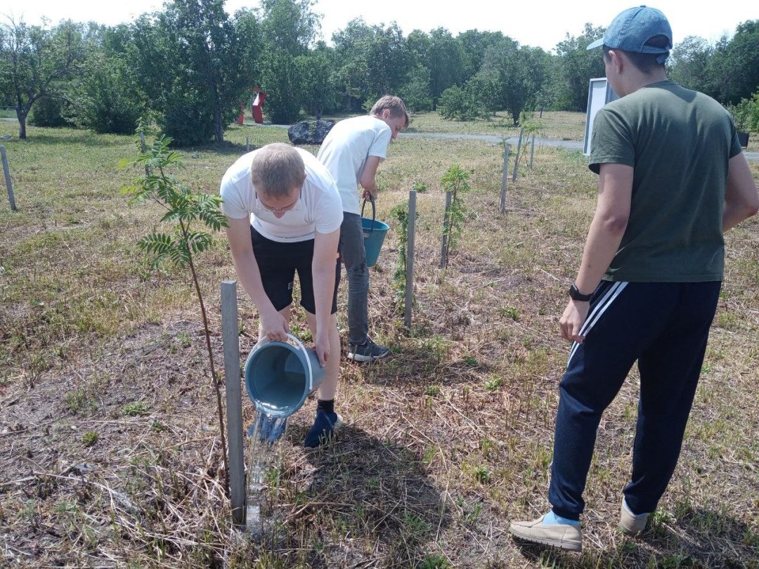 Волонтеры полили деревья в Саду памяти