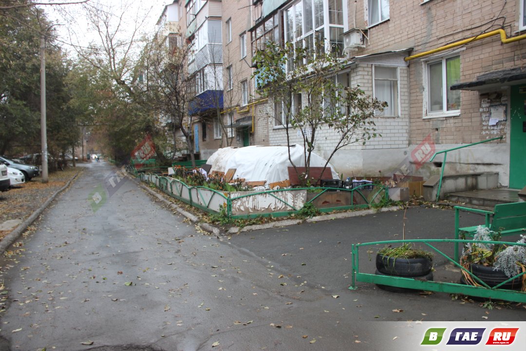 «Это не сугроб, а укрытые цветы»