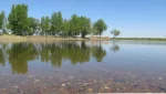 Градостроительный совет рассмотрит вопрос о восстановления Культурного пруда