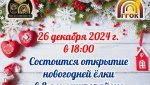 26 декабря - открытие  новогодней ёлки в Ледовом городке (6+)