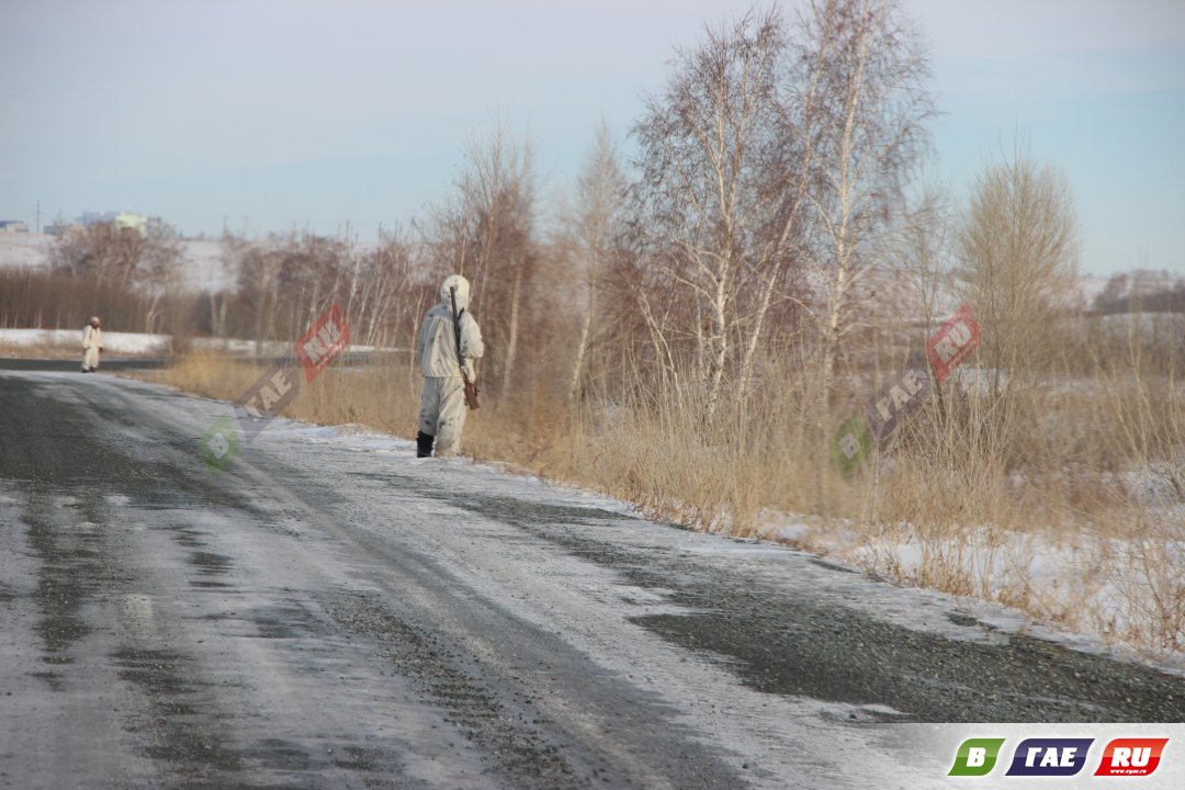 Зайцам праздновать не дают