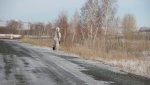 Зайцам праздновать не дают