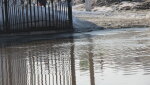 Добраться до Гайского рынка можно только вплавь