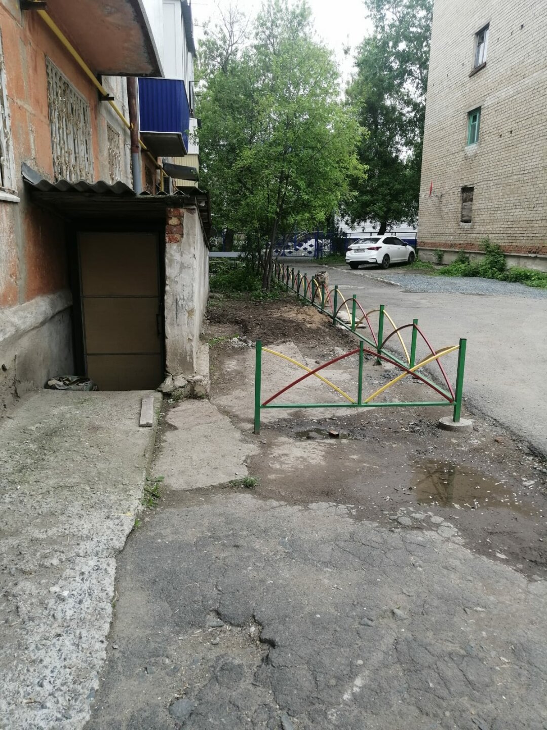 Оградили — и забыли: в Гае расцвёл газон невмешательства