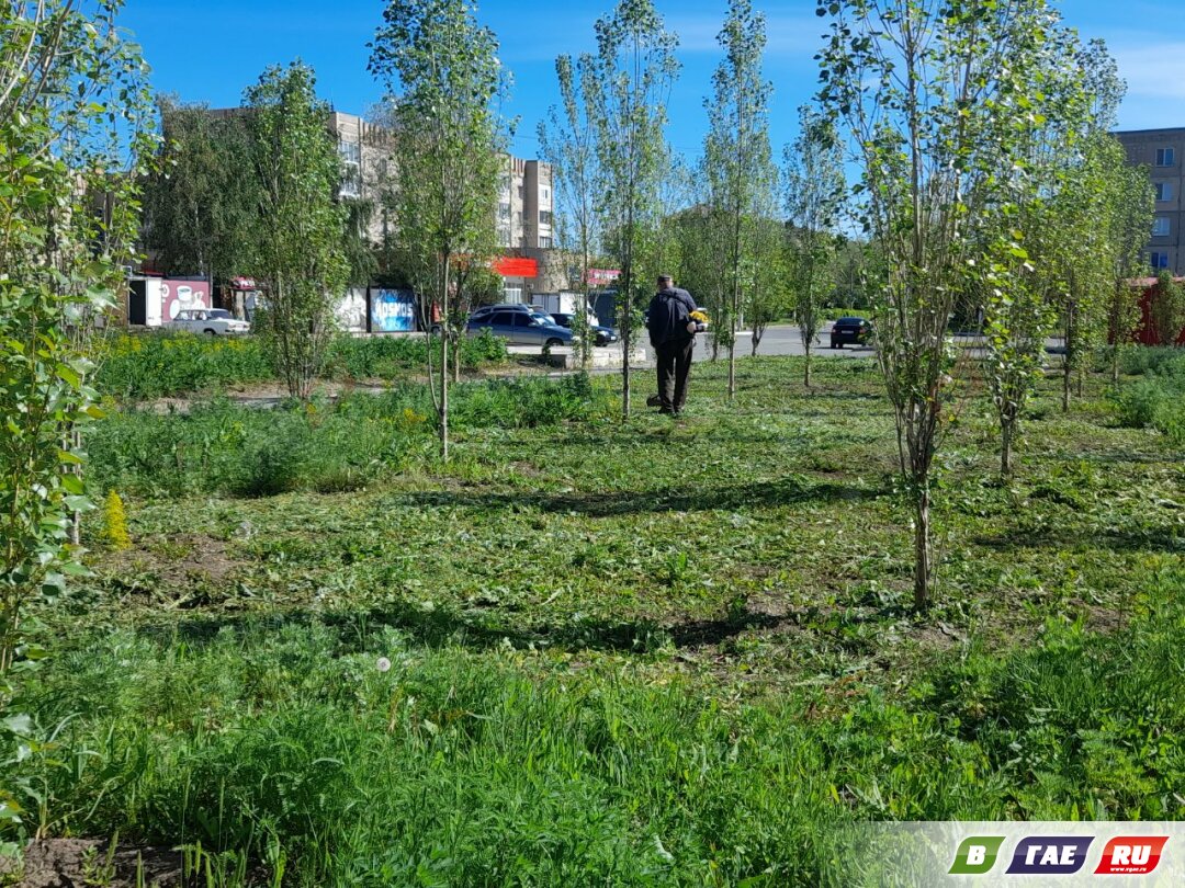 В Гае запахло свежескошенной травой
