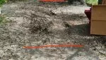 Асфальт — не судьба? Тротуар на Комсомольской ушёл в режим ожидания
