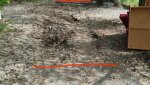 Асфальт — не судьба? Тротуар на Комсомольской ушёл в режим ожидания