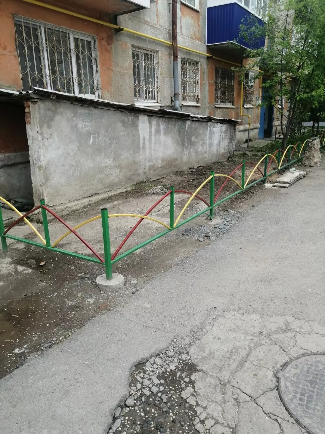 Оградили — и забыли: в Гае расцвёл газон невмешательства