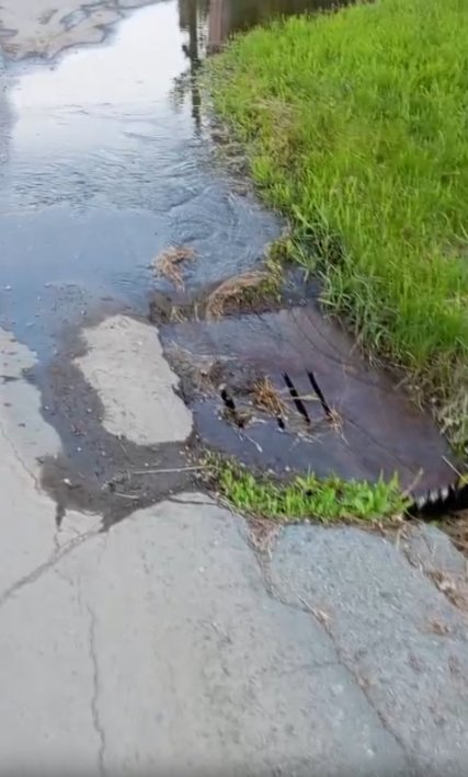 Вода ушла, обещания остались: Гайская верблюдизация в действии