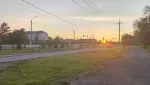 Гайский «шанель»: аромат навоза с нотками отчаяния