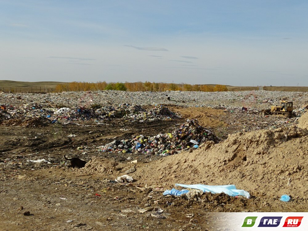 Мусорный полигон Гая не огорожен, колеса авто не дезинфицируются