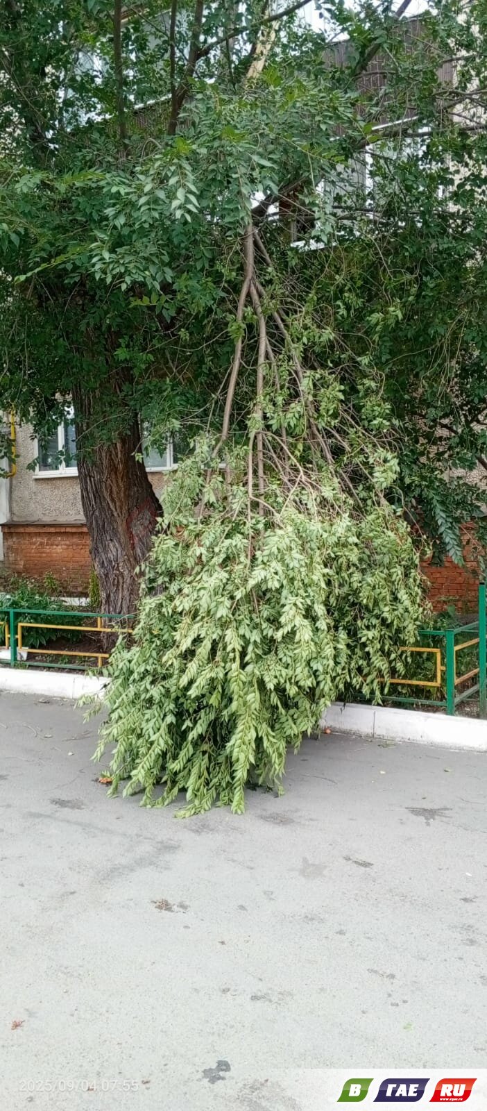 Обломившиеся ветви упали на автомобиль