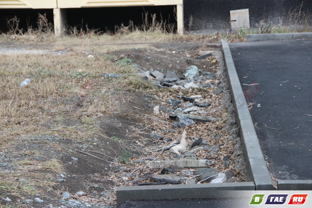 «А из нашего окна безалаберность видна»