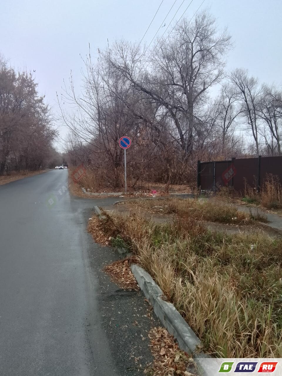 Непроглядная территория: заросли у сгоревшего кинотеатра «Юность»