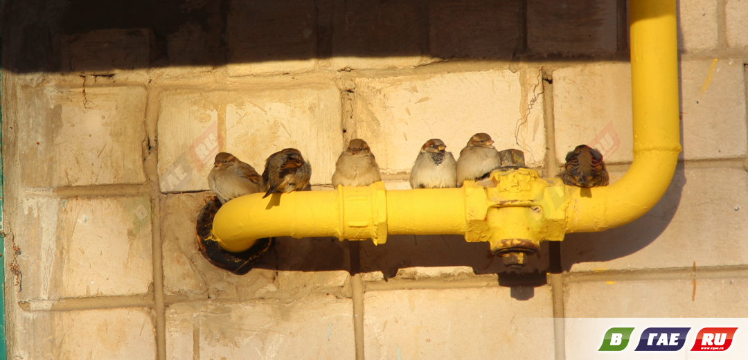 В Гай пришли первые зимние морозы. И снег обещают