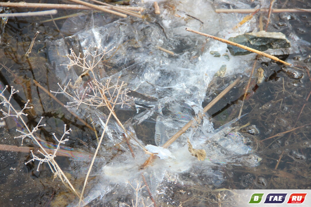 Где ты, зима? Замер толщины льда на «запретке»