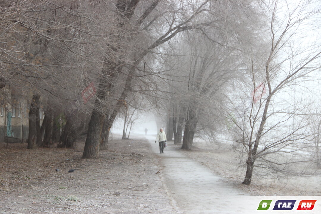 О зиме - ни слова. Синоптики обещают плюсы, туман, изморозь