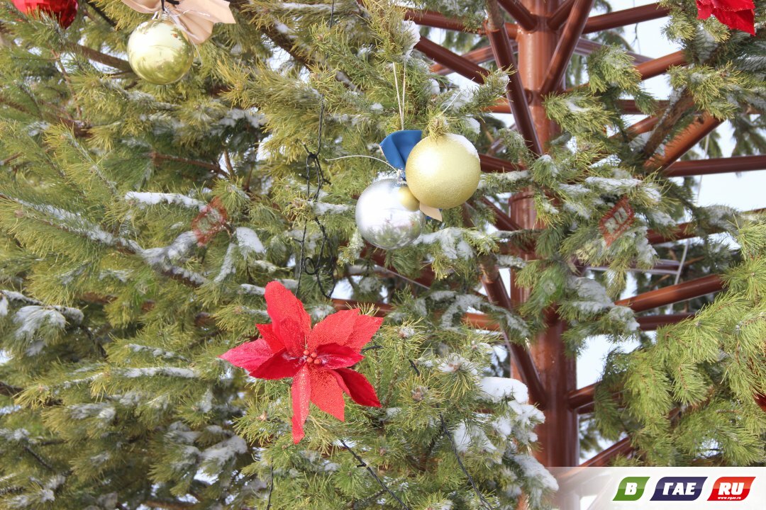 Определены даты проведения новогодних праздничных мероприятий