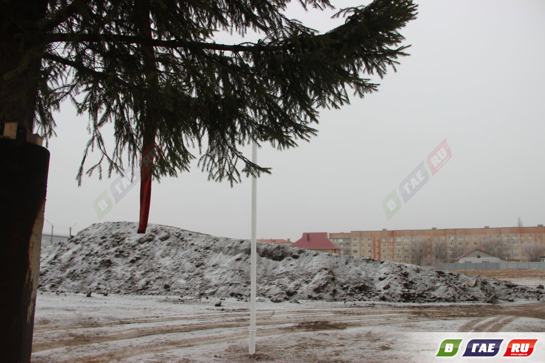 В Ледовом городке установили подаренную гайчанкой ёлку