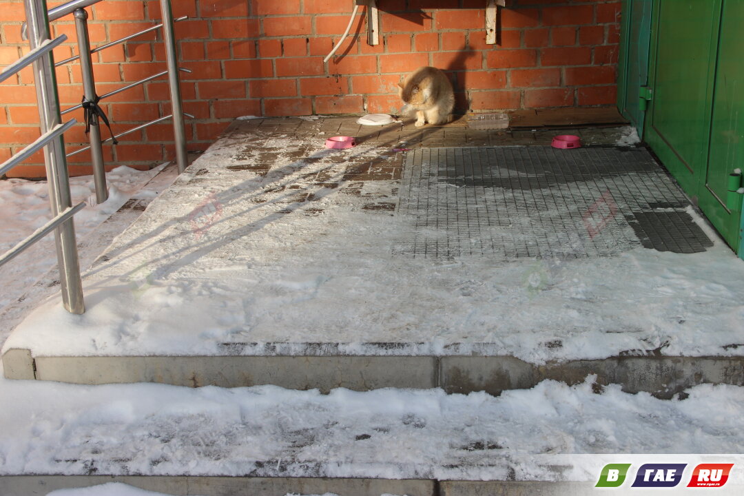 В каком состоянии ступени магазинов после снегопада?