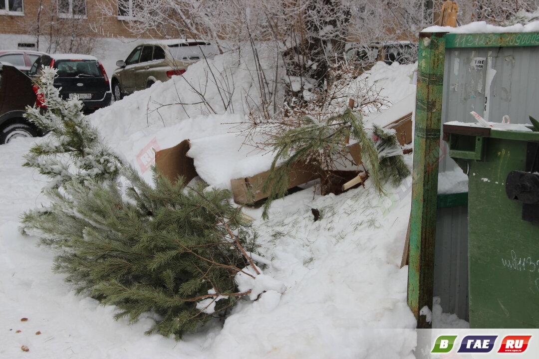 Старый новый год. А елки уже выкидывают под балконы и в сугробы