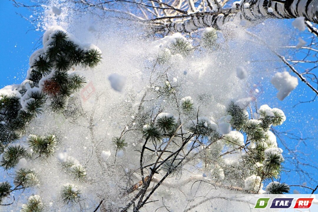 Белая графика зимы. Последний день новогодних каникул