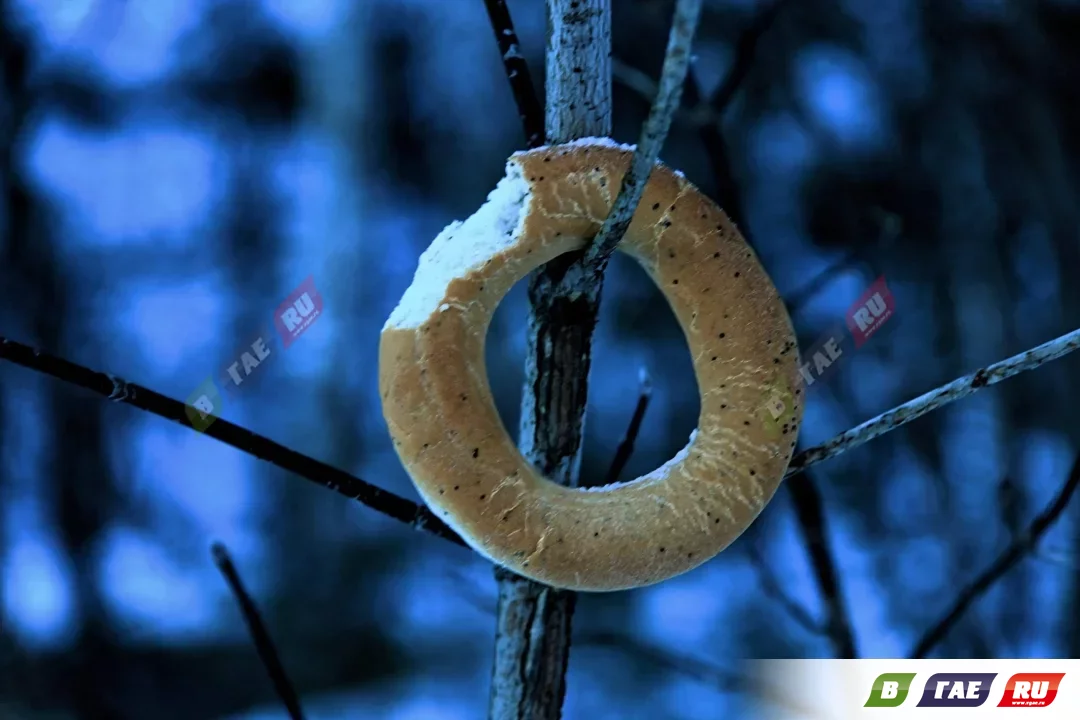 «Пакетами ссыпают хлеб в мусорку. Возмущению нет предела!»