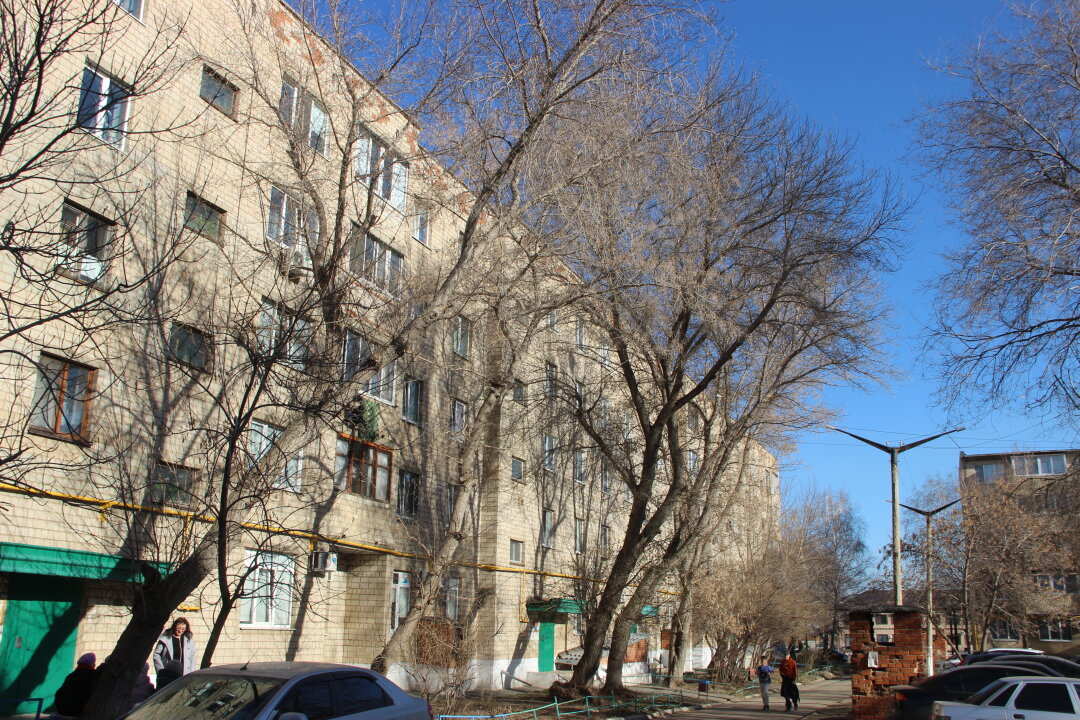 Сороки свили гнезда напротив окон пятиэтажки