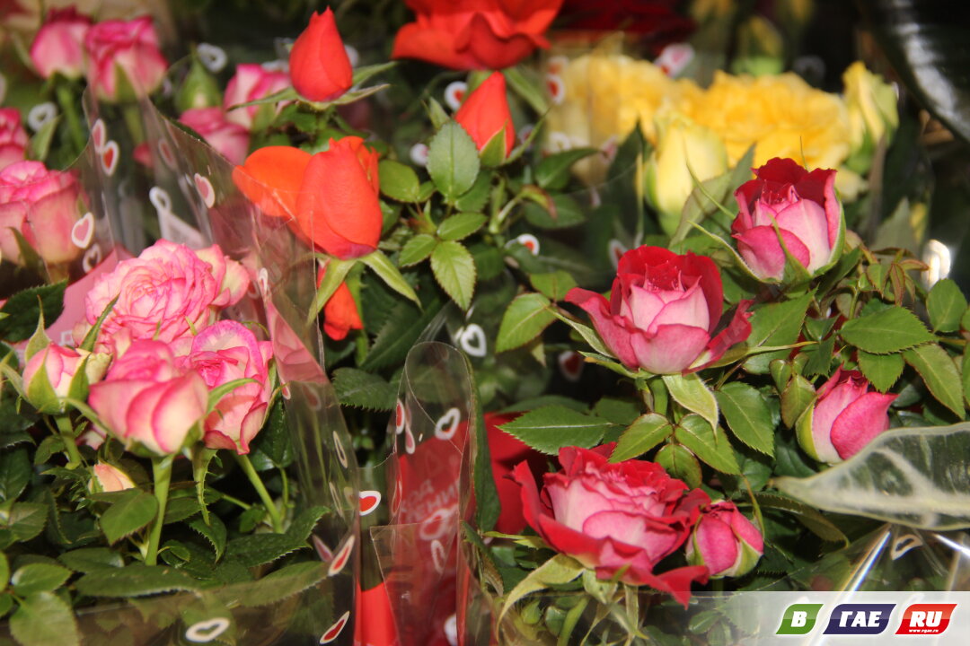 Цветочное безумие? Стоимость тюльпанов - от 150 рублей