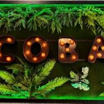 Собирайте подруг! В «Сове» вас ждет праздник, о котором вы мечтали 💃 (18+)