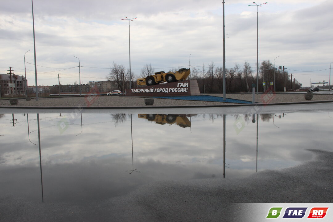 Гай после ночной грозы. Много фото