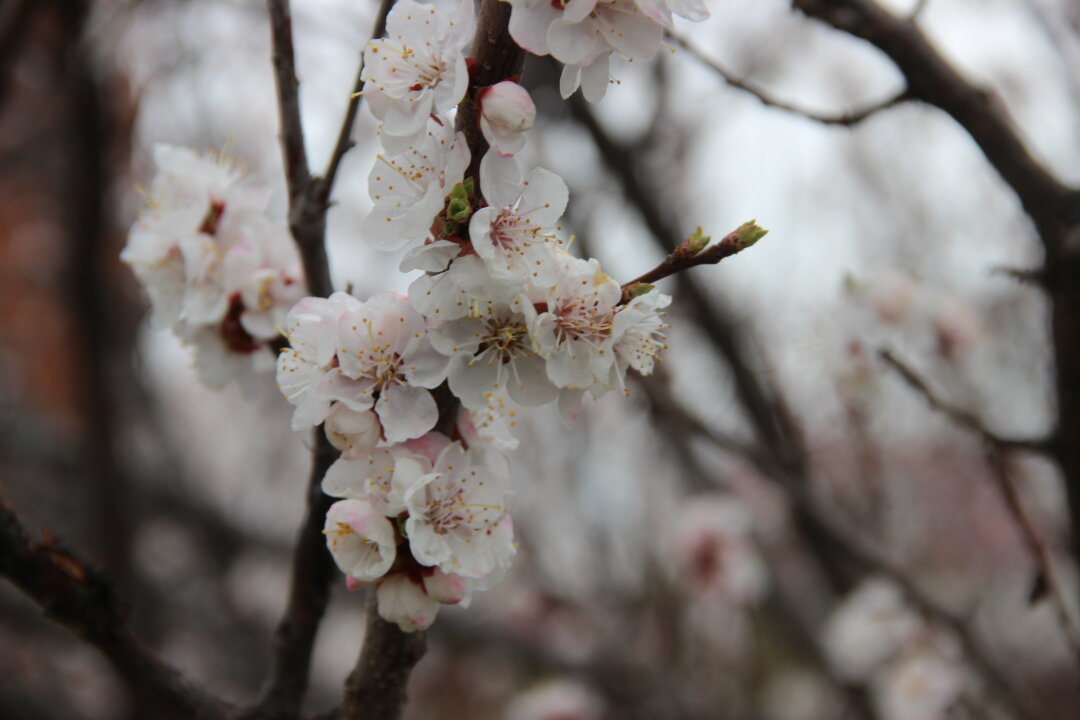 Май порадует выходными днями