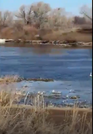 Вот что увидел гайчанин на Урале