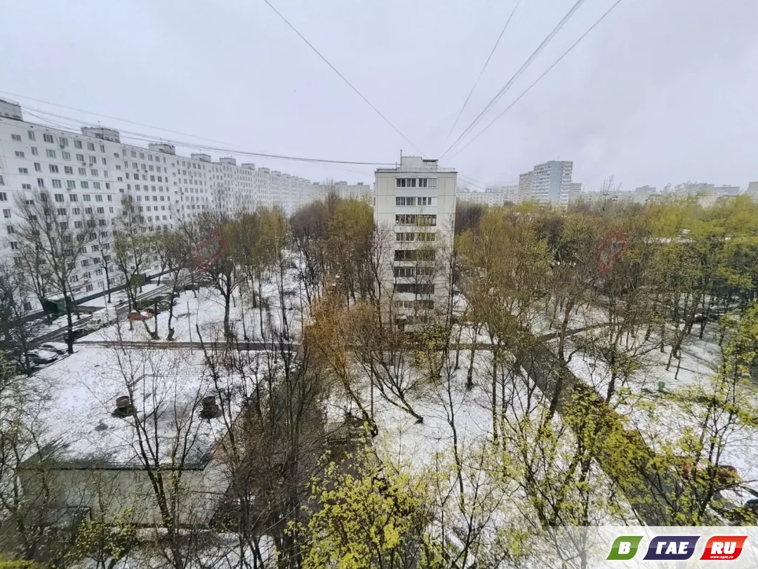 Гайчанка, живущая в Москве, поделилась фото своего заснеженного двора