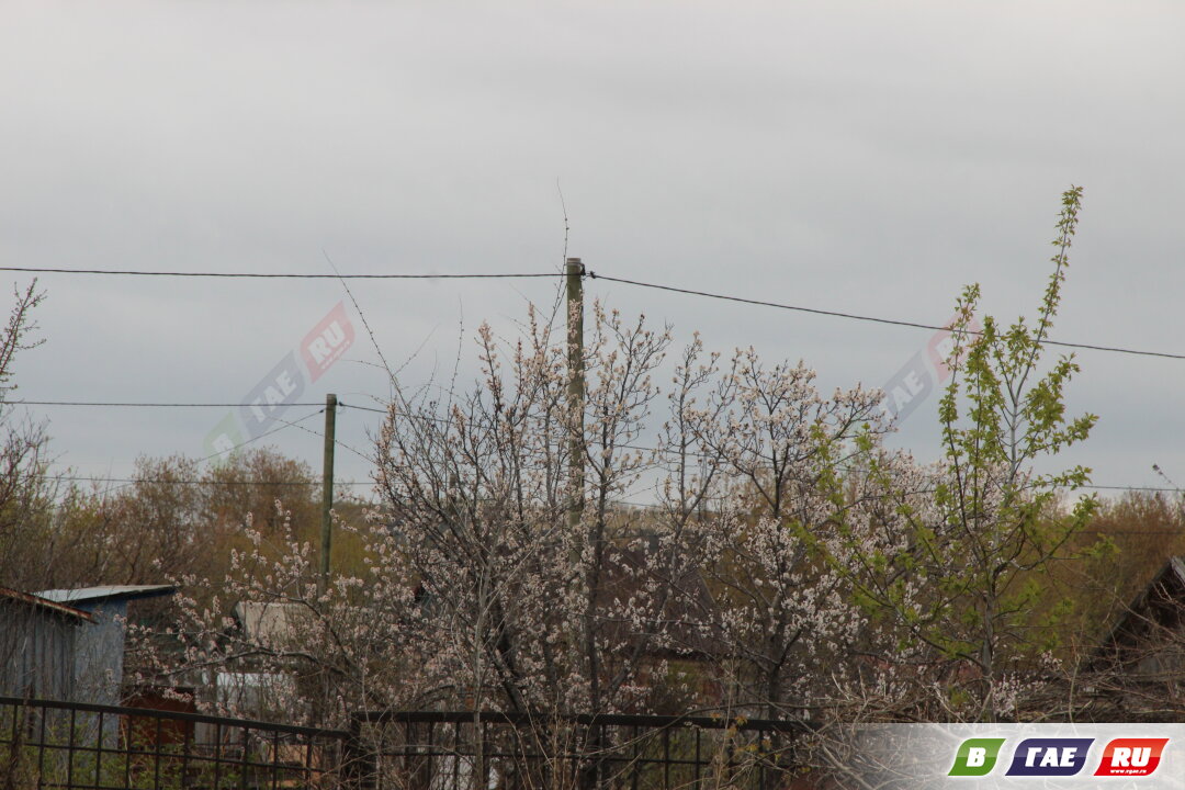 Нашлись свидетели, указавшие путь следования потерявшейся Нины Щетиновой