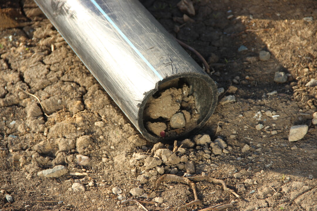 СНТ «Заря». «Нам, наверное, придется верблюдов разводить?»