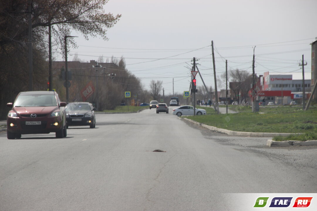 Ежи проснулись и уже попадают под колеса