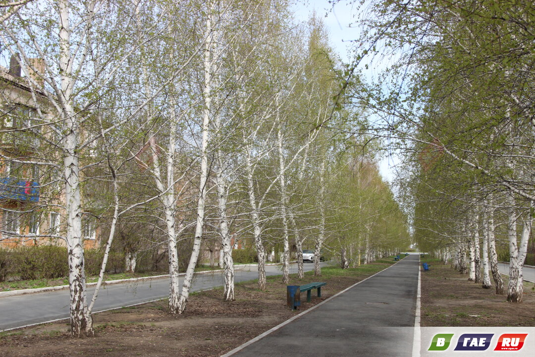 Выбираем территорию для благоустройства до 12 июня